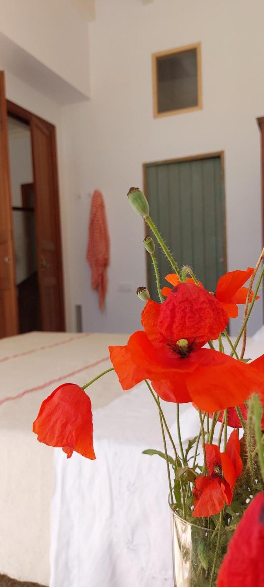 Idayvuelta Home & Suites With Private Pool Las Salinas Exterior foto